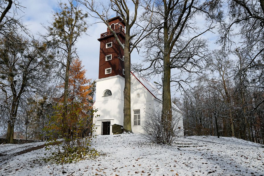 «Дача Геринга» и виштынецкий мораторий: как Алиханов осваивал восток области