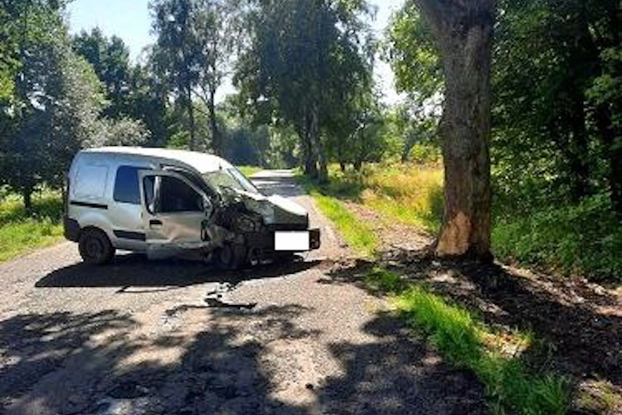 Под Багратионовском «Рено» врезался в дерево из-за выскочившей на трассу собаки (фото)
