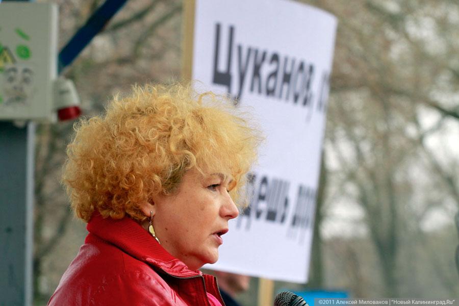 "Что показала весна": репортаж "Нового Калининграда.Ru"