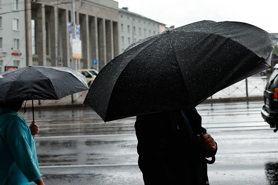 Погода в Калининграде 19 ноября