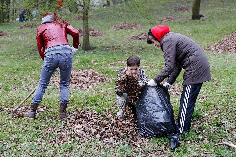 Селфи с граблями: в парке Победы прошёл общегородской субботник