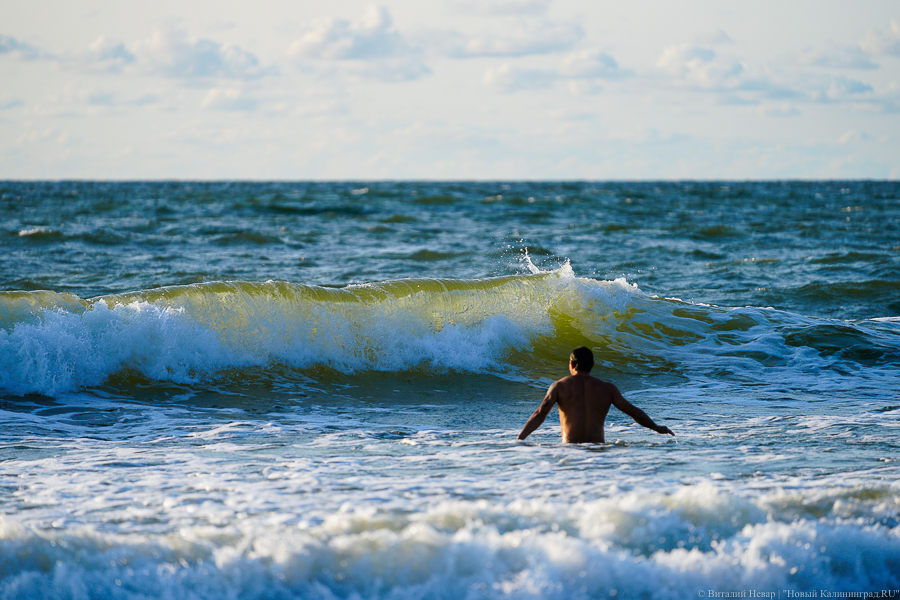 Фото: Виталий Невар / Новый Калининград 
