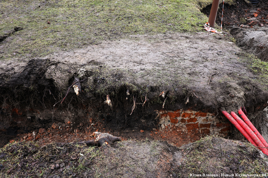 Руины Кнайпхофа: как проходит подготовка к благоустройству острова Канта (фото)