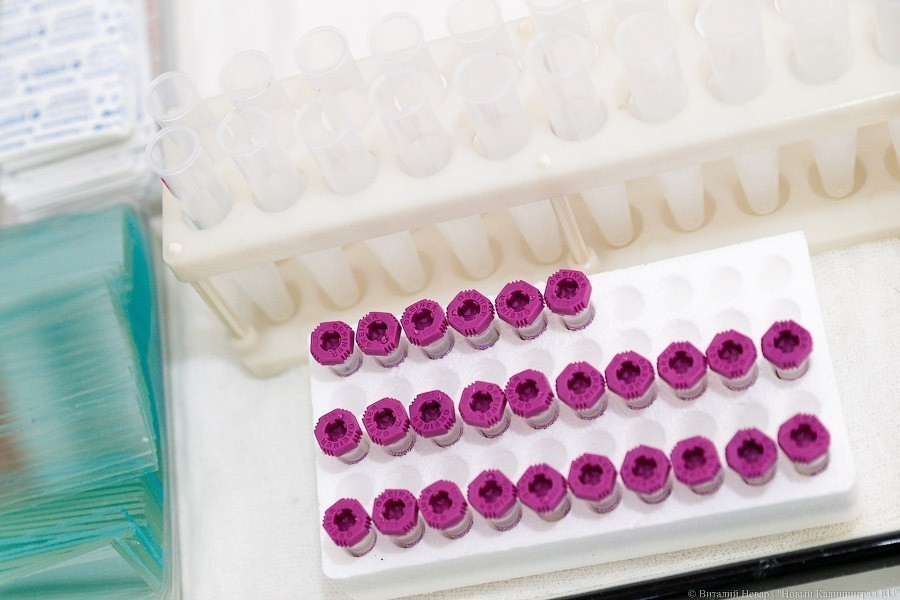 Количество случаев заражения коронавирусом в Польше превысило 20 тысяч