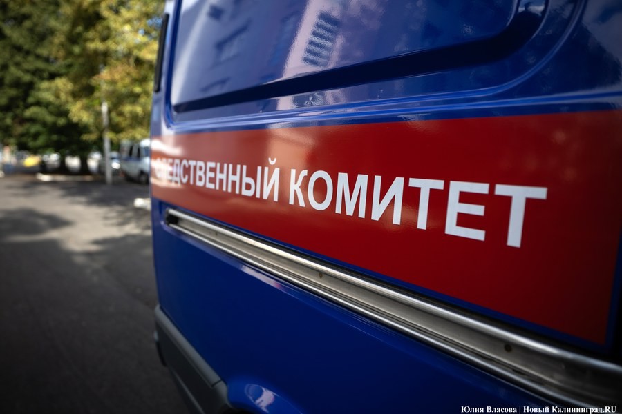 В Калининграде арестовали москвича за действия сексуального характера против школьниц