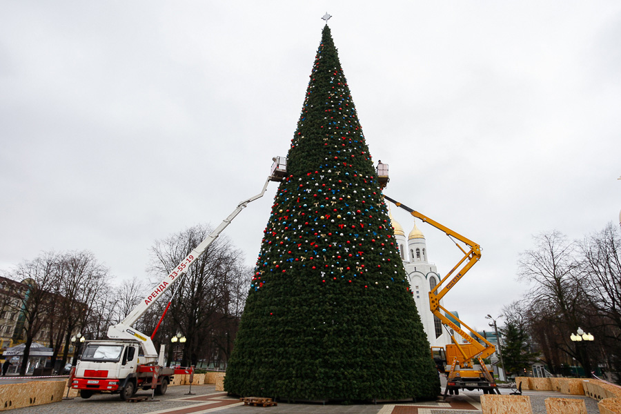 В Калининграде передумали покупать новогоднюю ель и украшать город за 56 млн