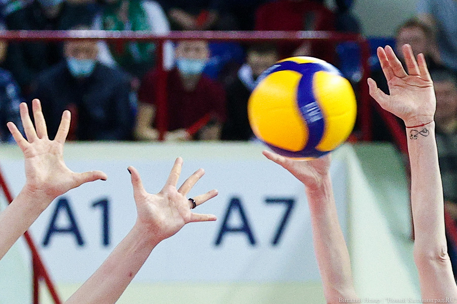 На строительство волейбольной площадки в Зеленоградске выделили почти четыре миллиона рублей