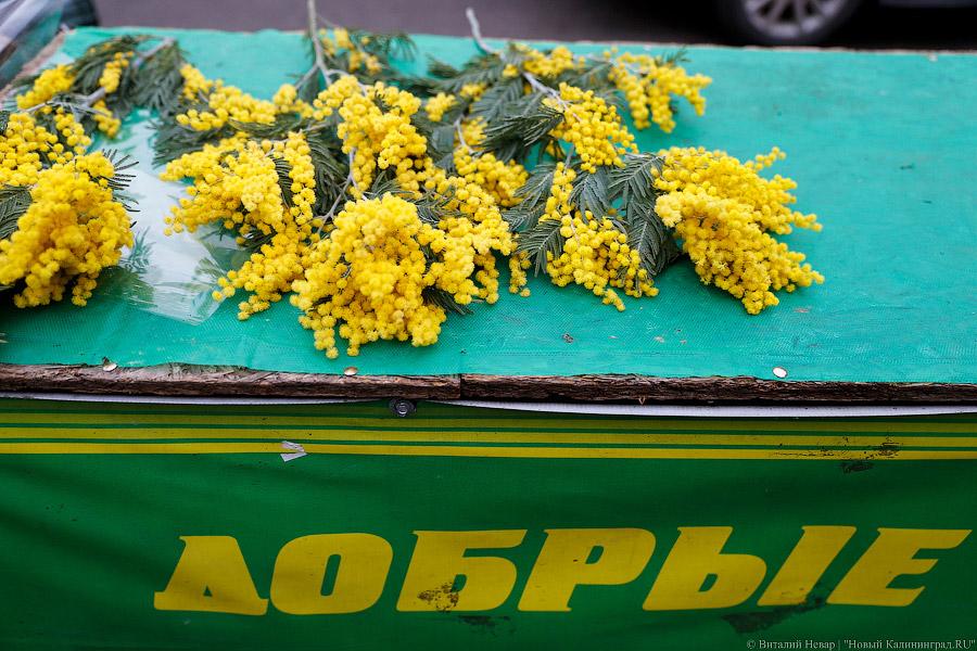 Кругом Голландия: сколько стоят цветы в центре Калининграда