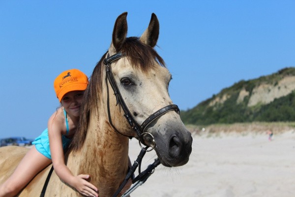 Детский конный лагерь в Калининграде: приглашаем к нам в летнюю студию 