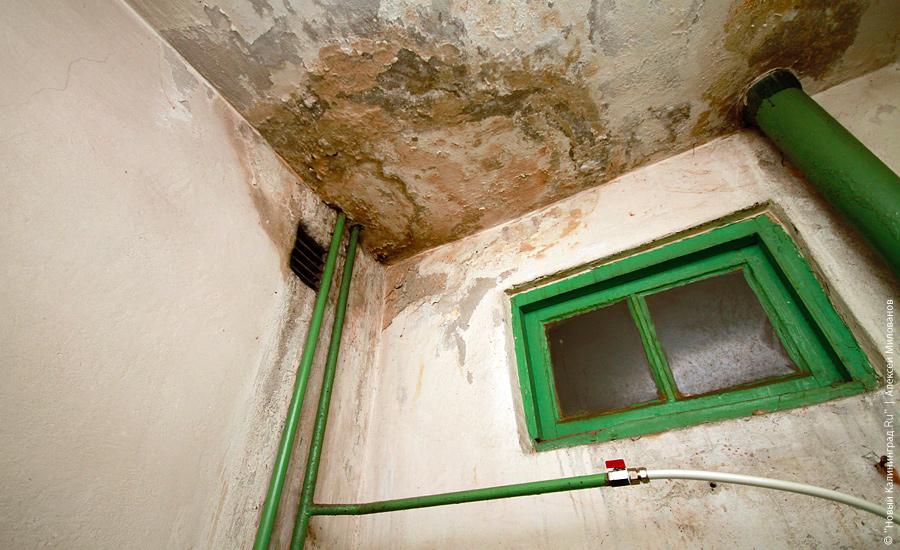 "Подстанция несуществующей страны": фоторепортаж "Нового Калининграда.Ru"