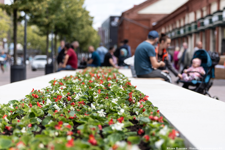 Вместо развалившихся: на улицу Баранова вернули вазоны-лавки за 12,5 млн рублей (фото)