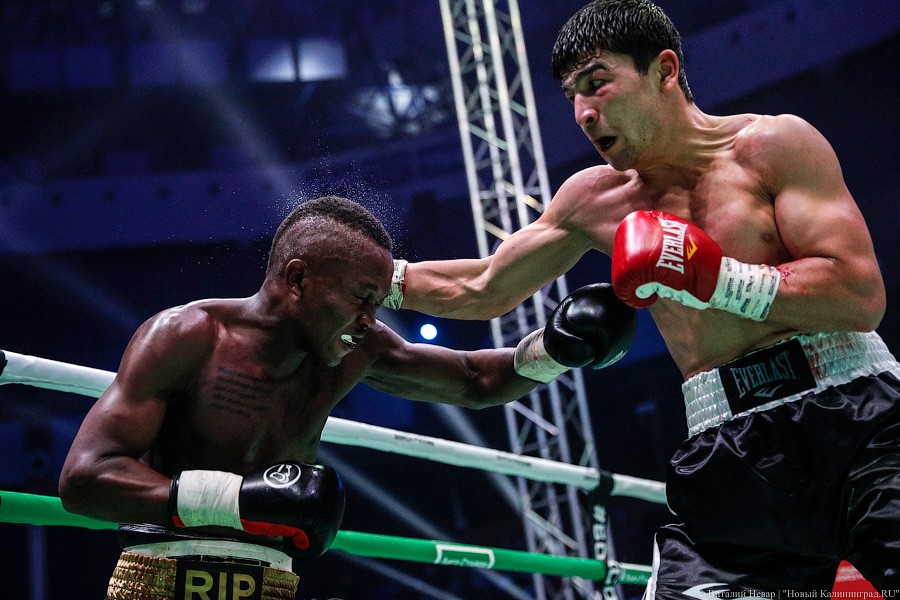 Раздельным решением судей: Чухаджян взял титул WBA International в Калининграде