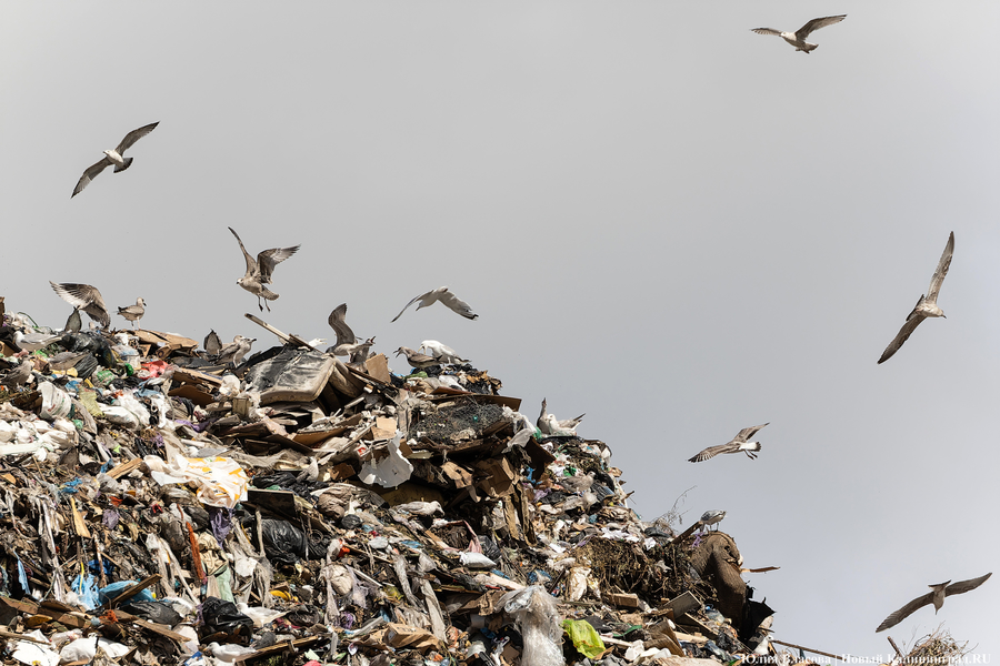 «Стихией управлять не научились»: как глава Минприроды РФ понюхал воздух в Круглово (фото)