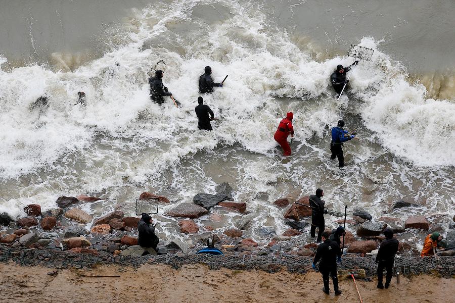 В набежавшую волну: как ловят янтарь на Балтике (фото)