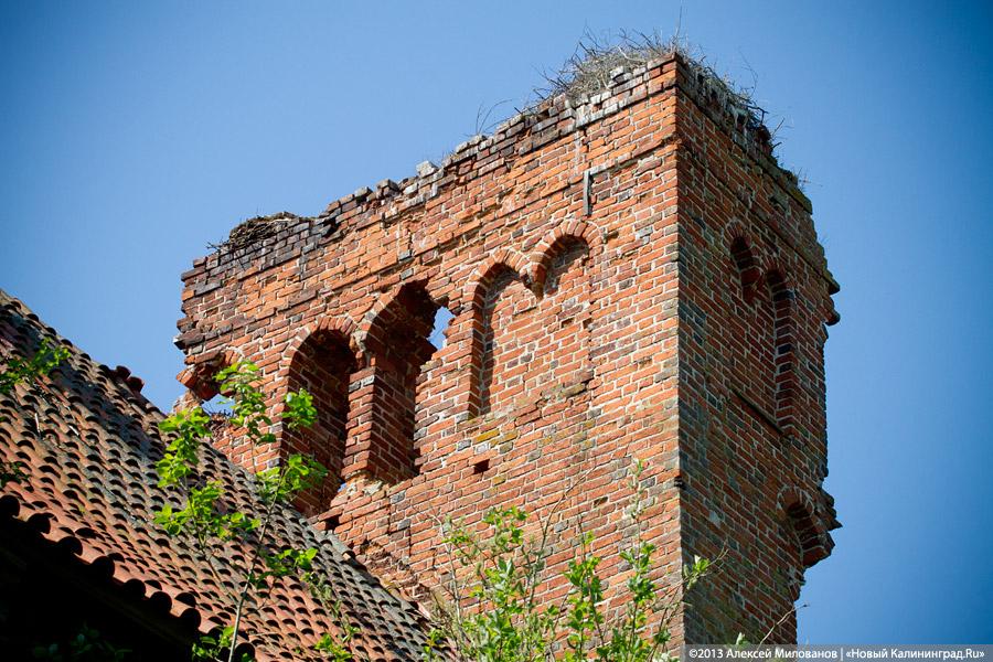 «Фрески и аисты»: вокруг кирхи в посёлке Кумачево идёт судебная тяжба