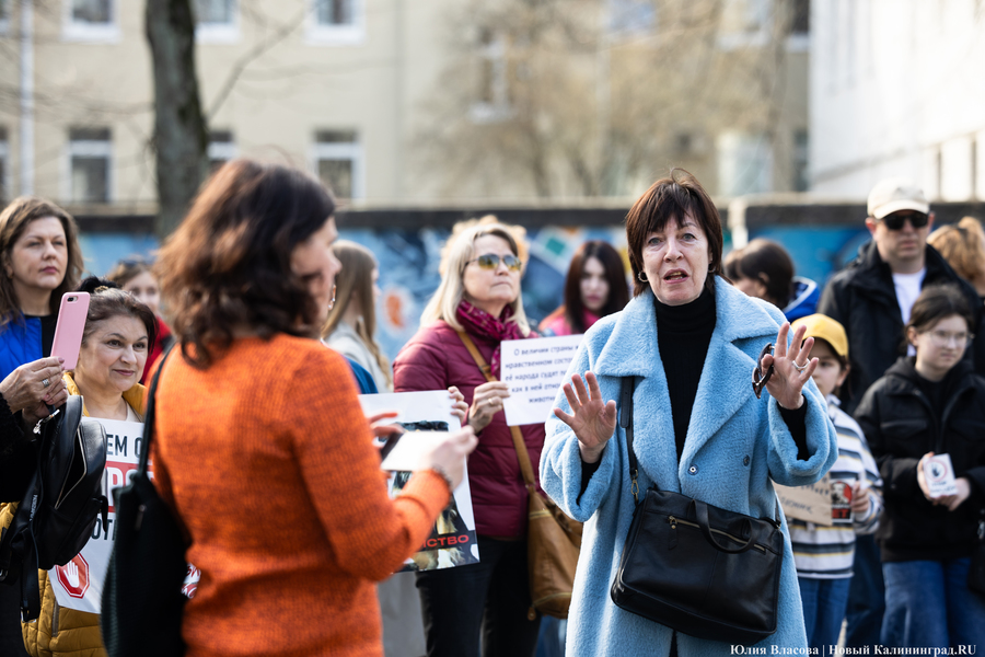 В защиту братьев меньших: в Калининграде прошёл митинг против убийства животных (фото)