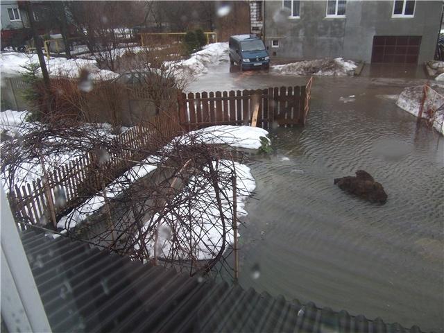 "Большая вода": фоторепортаж читателей "Нового Калининграда.Ru"
