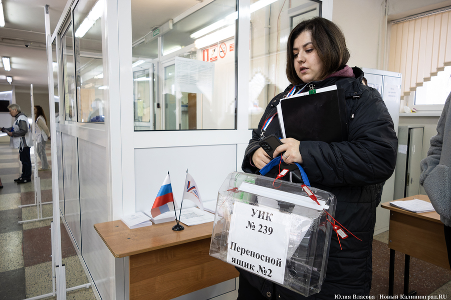 Один на ринге: как проходило голосование в Калининградской области (фото)