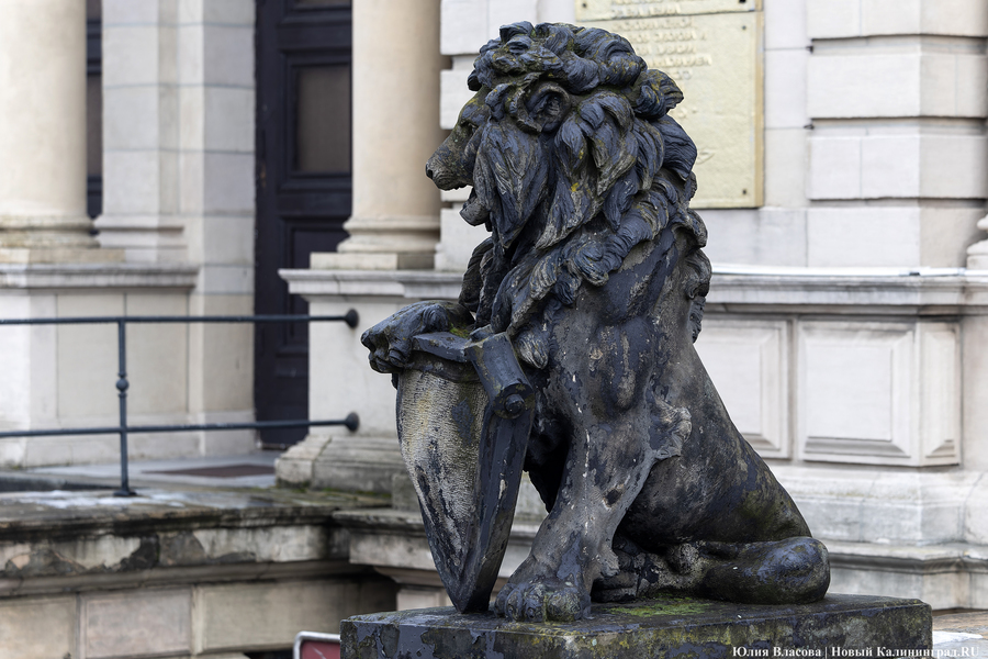 Восстановить и сохранить: скульптуры львов у бывшей биржи готовят к реставрации