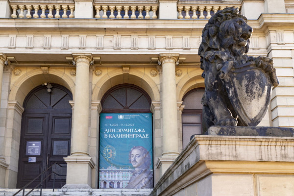 Эрмитажная библиотека развернулась в Музее изобразительных искусств 