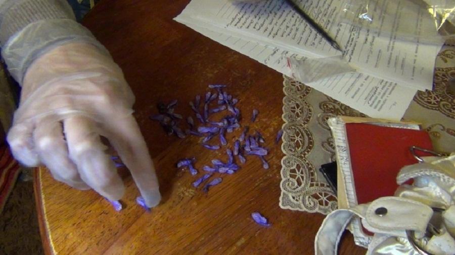 «С дозами в трусах»: под Гурьевском полиция накрыла банду женщин-наркодилеров