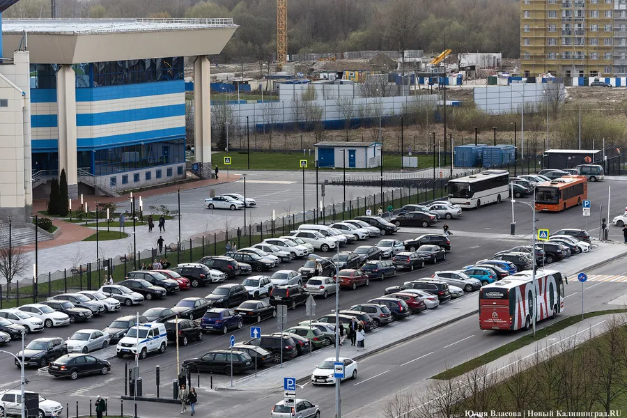 В Калининграде хотят установить льготы на парковках для ветеранов боевых действий
