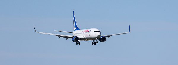 Вечерний@Калининград: удивление губернатора, арт-детектив и оскароносные хвостики