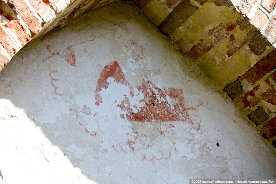 «Фрески и аисты»: вокруг кирхи в посёлке Кумачево идёт судебная тяжба