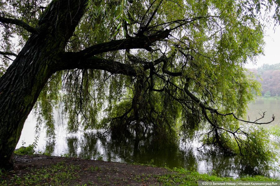 Куда уехал цирк: прогулка по Южному парку