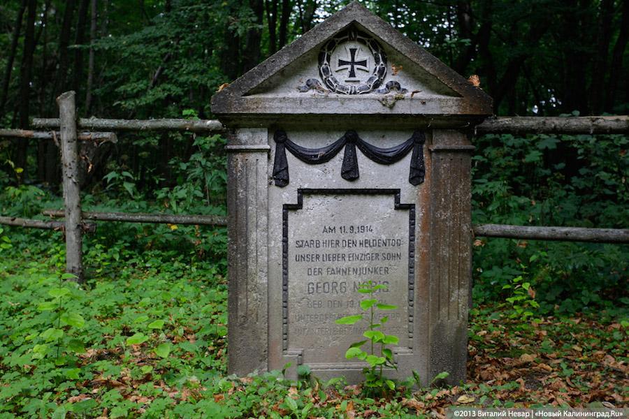 По следам Первой мировой: исчезающие захоронения воинов в Озёрском районе