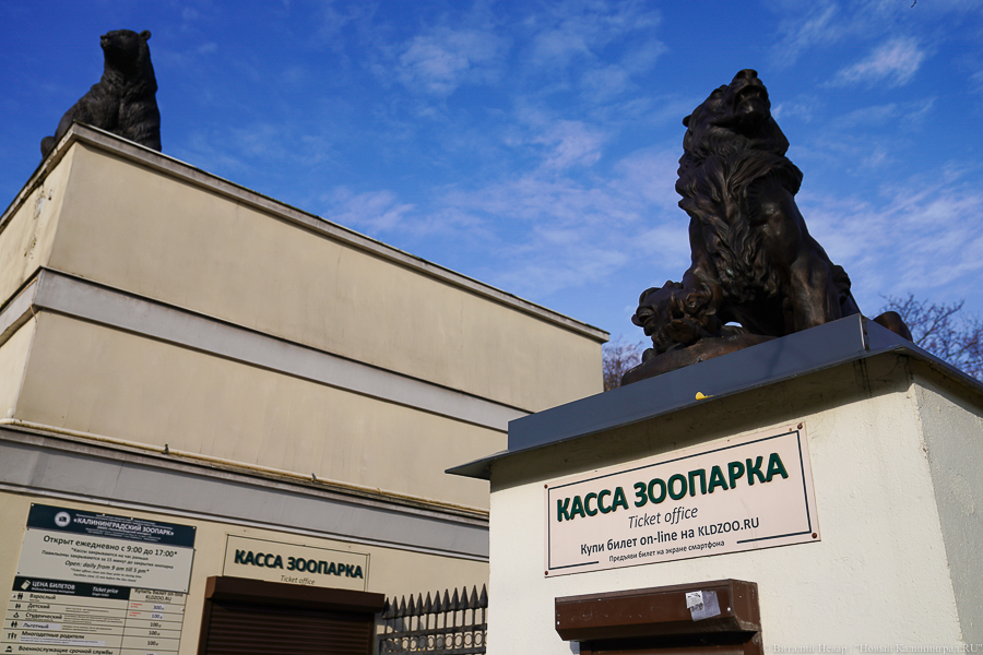 Два дня билеты в Калининградский зоопарк нельзя будет купить онлайн
