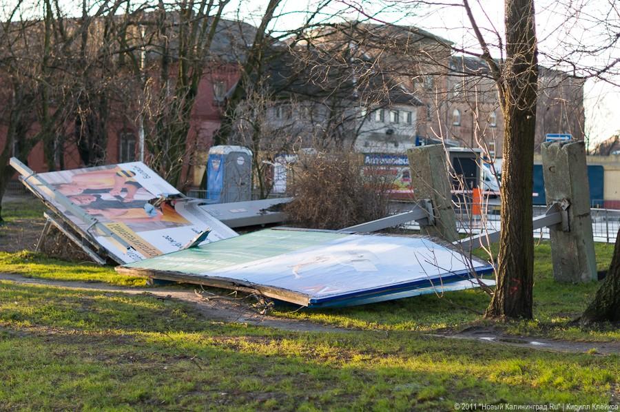 «А поутру они проснулись»: фоторепортаж «Нового Калининграда.Ru»