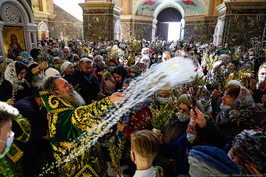 Брызги солнца: в Калининграде верующие отметили Вербное воскресенье (фото)
