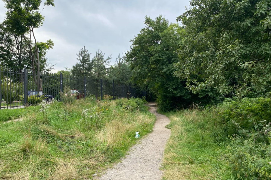 «Народную тропу» от Майского до Невского обещают замостить в этом году