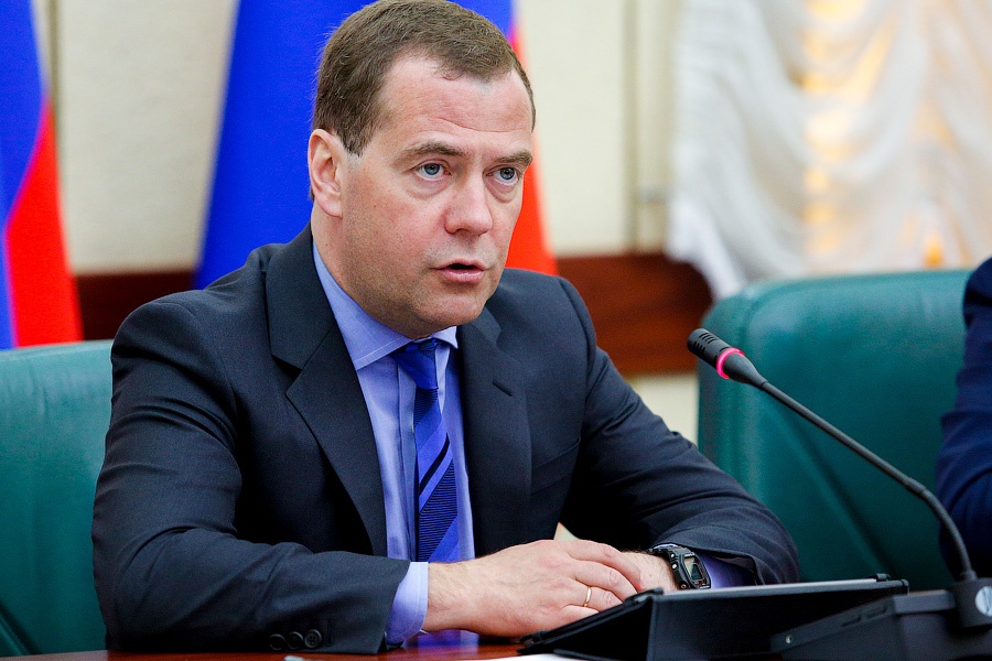 Медведев назвал сроки начала работы электронных виз для иностранцев