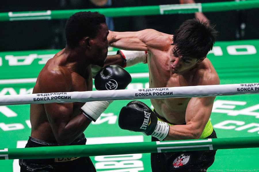 Раздельным решением судей: Чухаджян взял титул WBA International в Калининграде