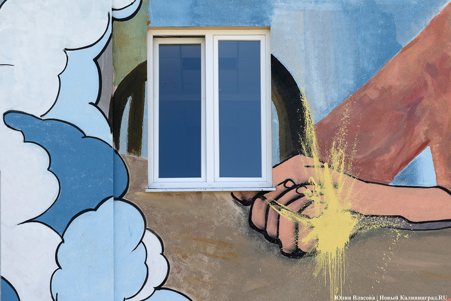 То, чему предстоит стать классикой: на зданиях БФУ им. Канта нарисовали четыре мурала (фото)