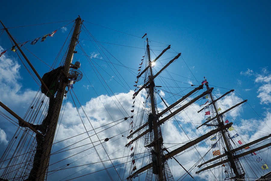 «Александр фон Гумбольдт II»: в Калининграде ошвартовался немецкий барк (фото)