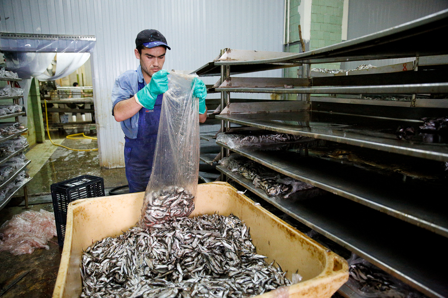 Обязательную вакцинацию в регионе расширили на энергетиков и рыбопромысловиков