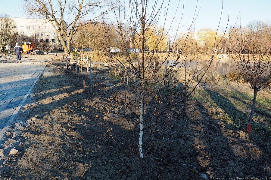 Алиханов призвал вести работы по благоустройству Летнего озера круглосуточно и без выходных