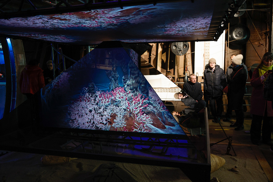Кто проживает на дне океана: Музей Мирового океана открыл «Витязь» после ремонта (фото)