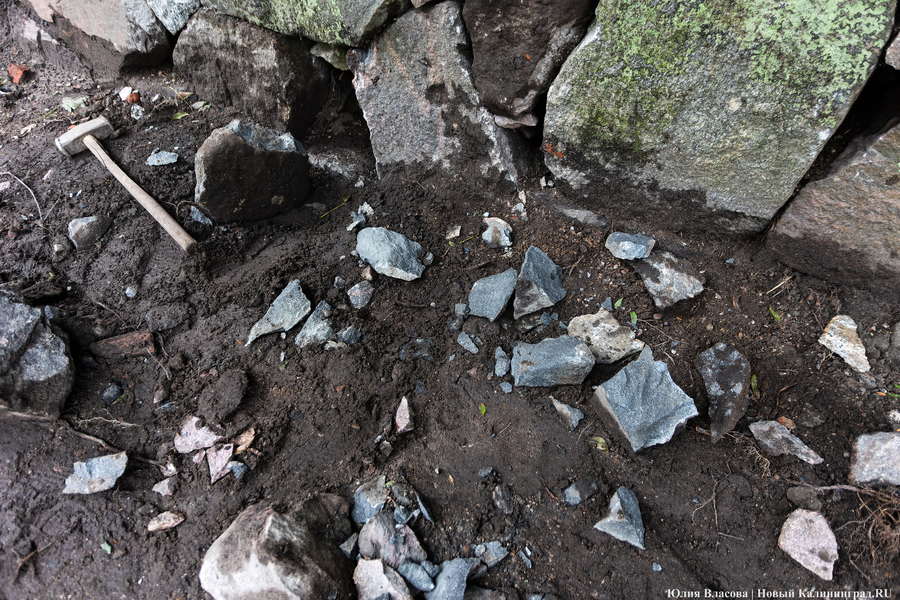 В Калининградской области обнаружили золотой дукат XVI века (фото)