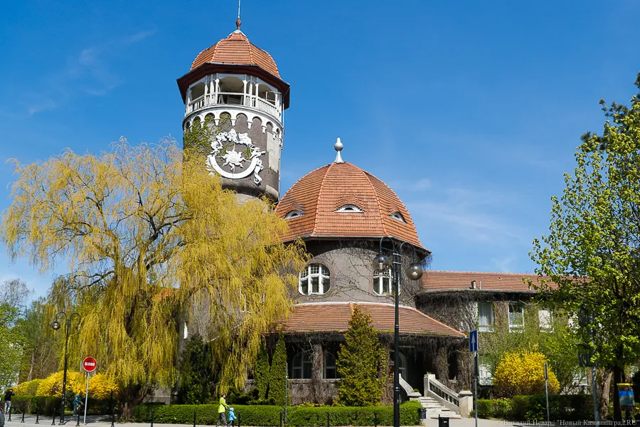 Градсовет не одобрил проект гостиницы в Балтийском проезде в Светлогорске