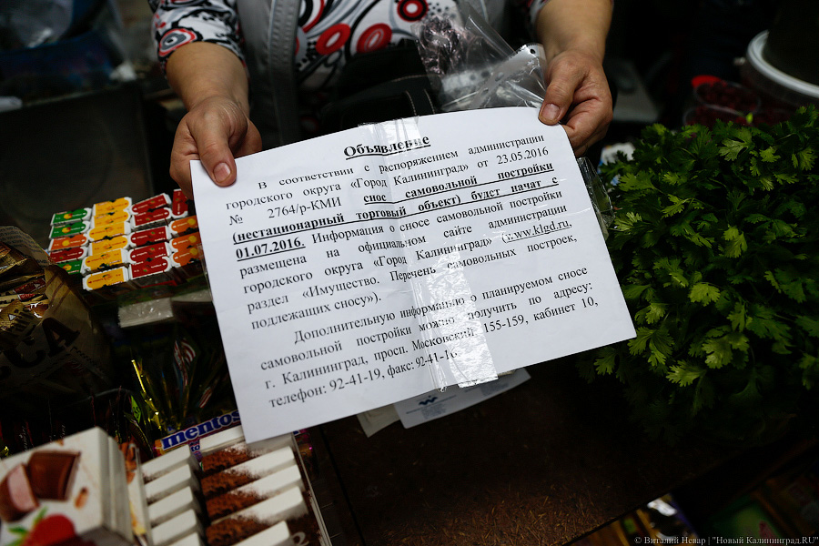«Куда потом, воровать?»: Калининград на пороге новой палаточной войны