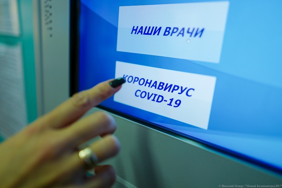 В России выявили «бразильский» штамм коронавируса «гамма»