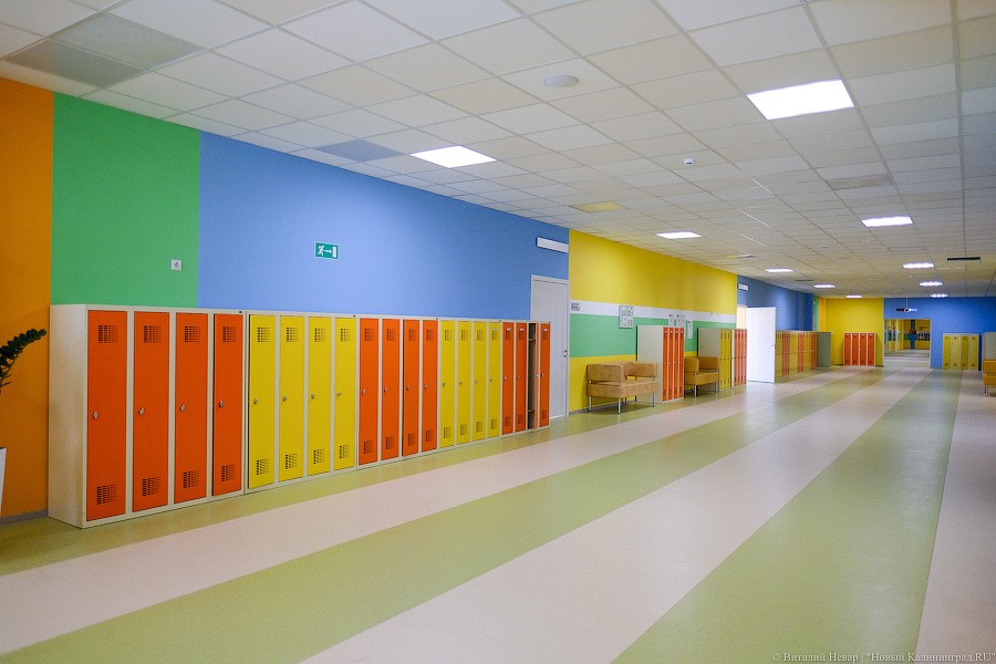 Бассейны, тир, медиатека: как выглядит новая — самая большая в регионе — школа (фото)