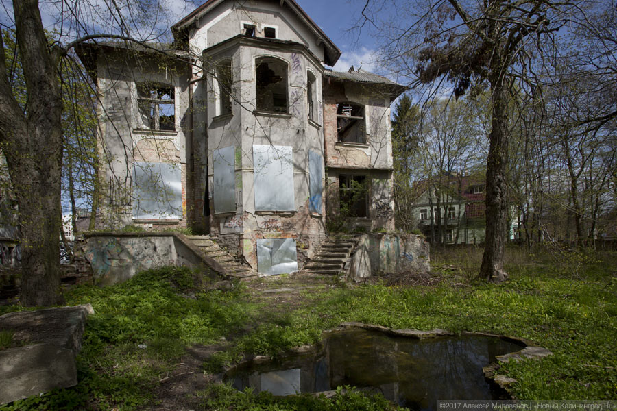 Мэрия обратилась в прокуратуру из-за двух заброшенных особняков на ул. Тельмана