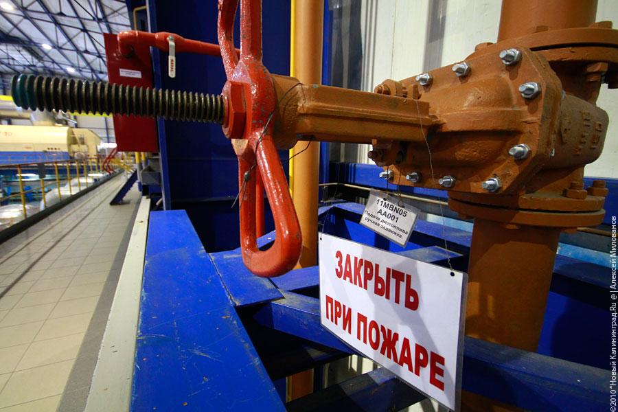 "Дважды два": фоторепортаж "Нового Калининграда.Ru"