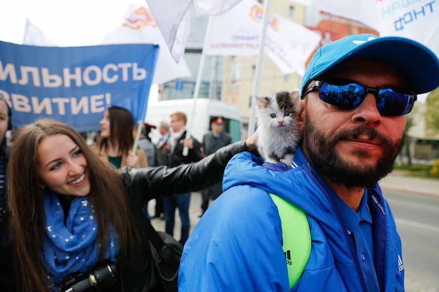 Все на Первомай: в Калининграде прошли праздничные шествия