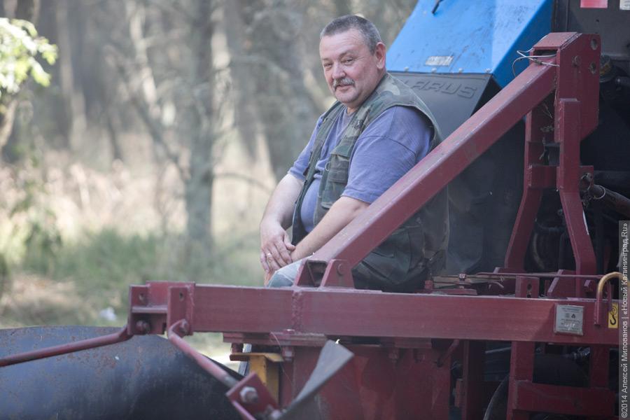 Когда рассеялся дым: после локализации лесного пожара на Куршской косе (фото)